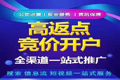 SEM竞价优化策略：成功案例解析